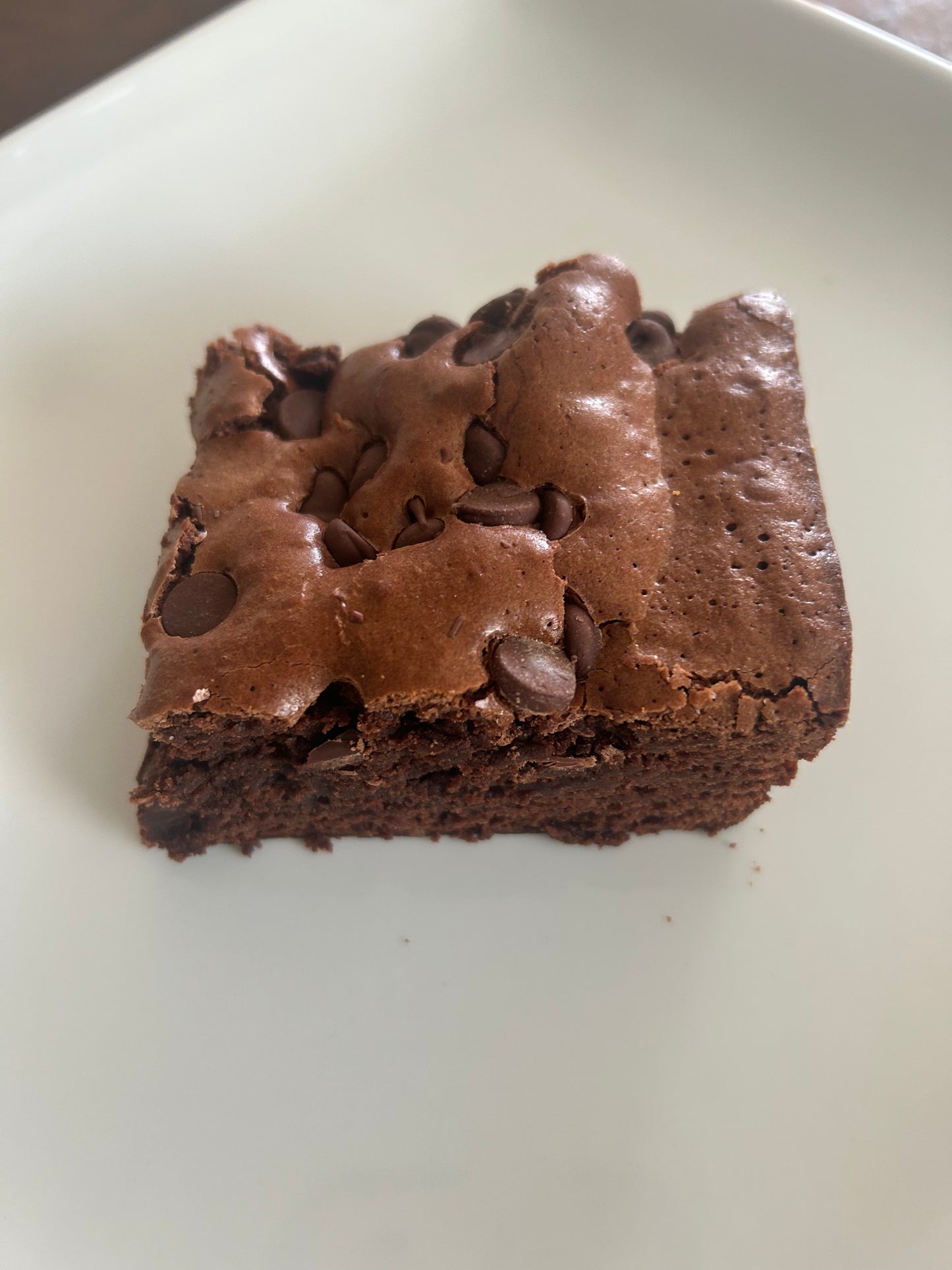 Plain Brownie